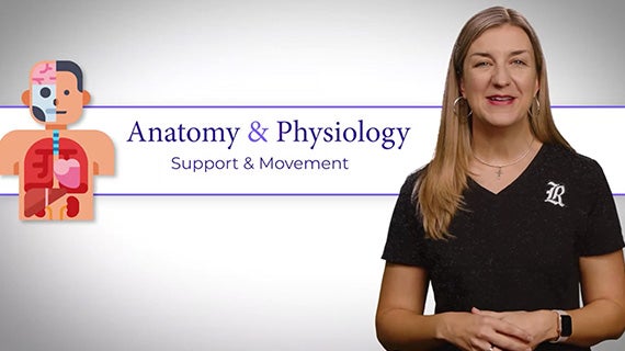 HUMAN ANATOMY AND PHYSIOLOGY CLASS ONLINE visual data 5